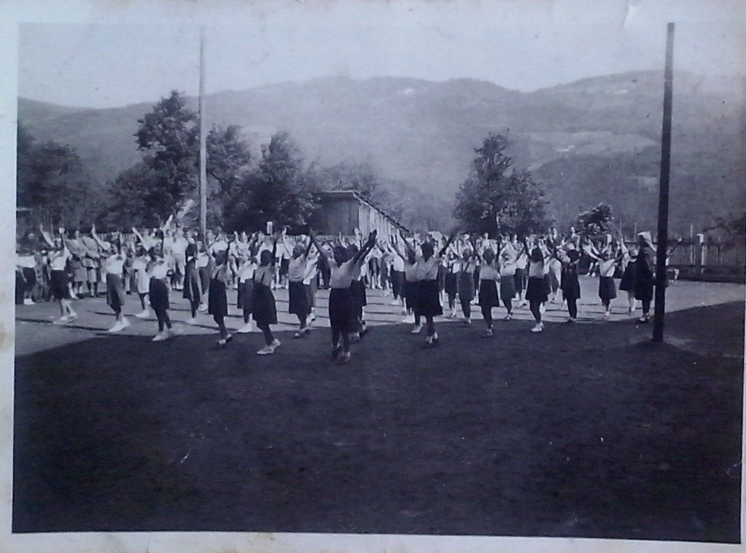 http://shramba.lovrenc.net/maxi/klepet/cam05673dan-mladosti11.jpg