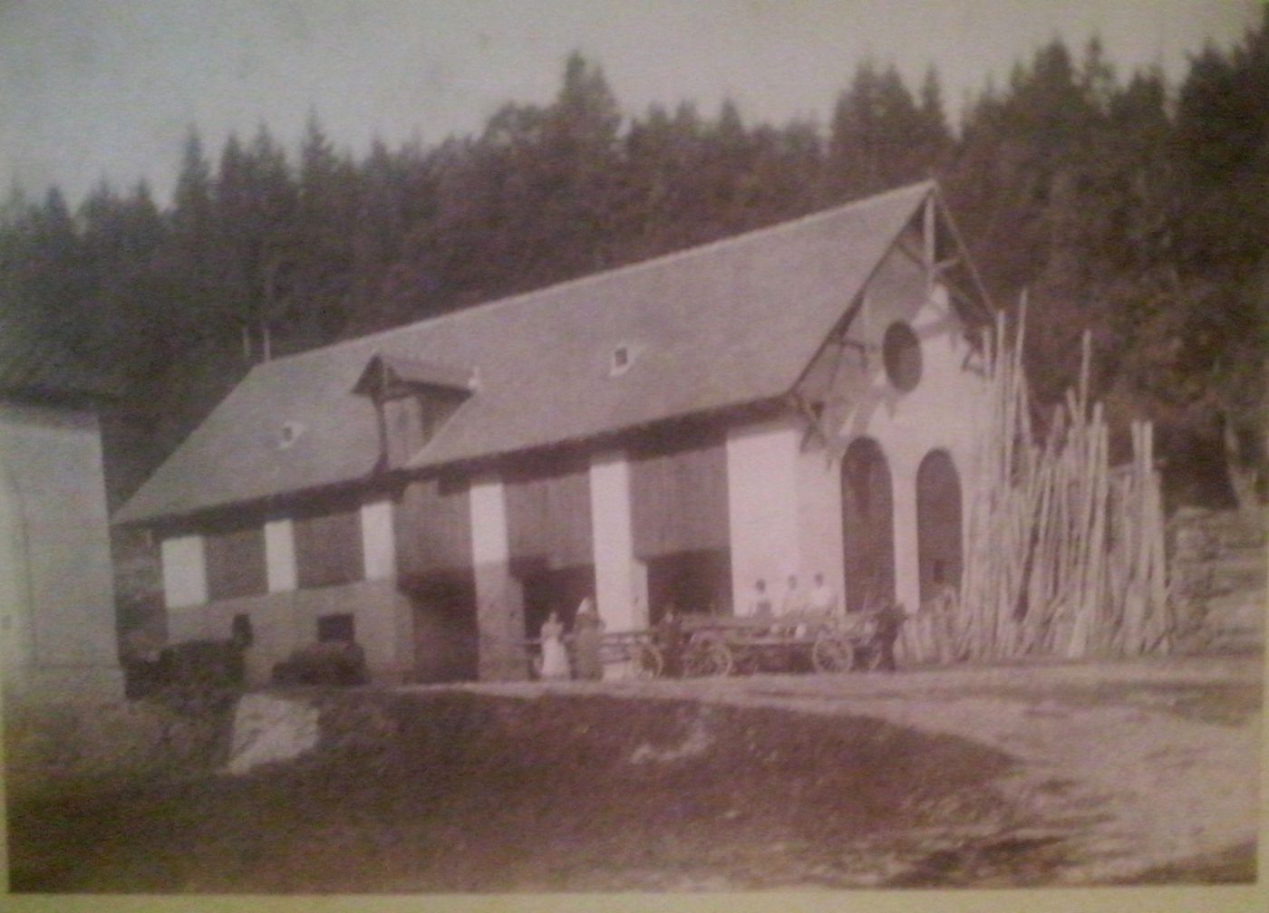 http://shramba.lovrenc.net/maxi/klepet/cam06776.jpg