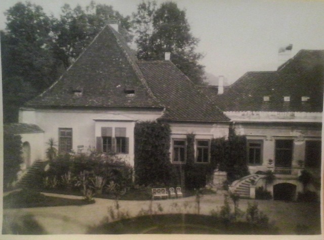 http://shramba.lovrenc.net/maxi/klepet/cam06787.jpg