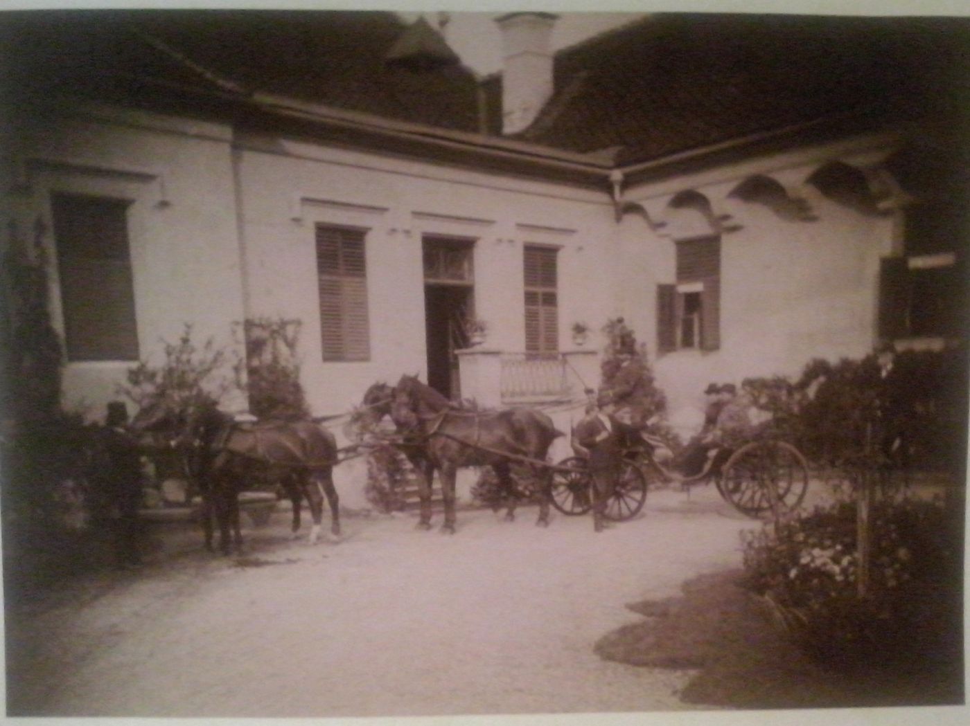 http://shramba.lovrenc.net/maxi/klepet/cam06814.jpg
