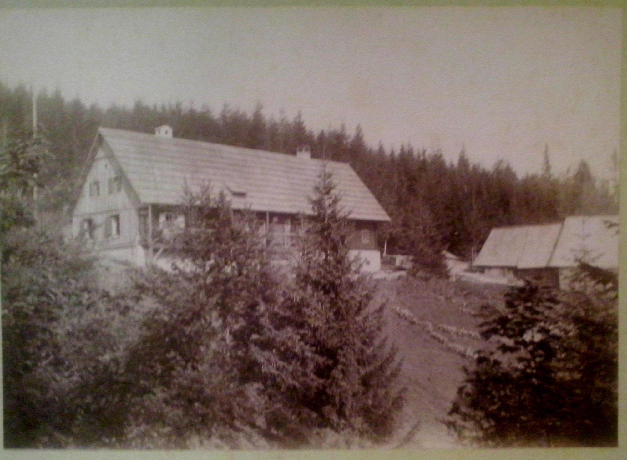 http://shramba.lovrenc.net/maxi/klepet/cam06815gozdarjeva-in-lo.jpg