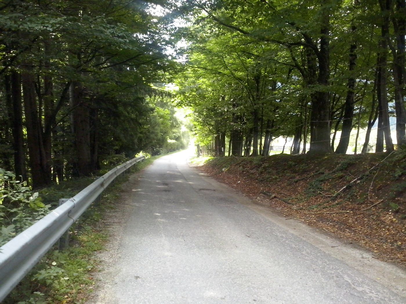 http://shramba.lovrenc.net/maxi/klepet/cam06953.jpg