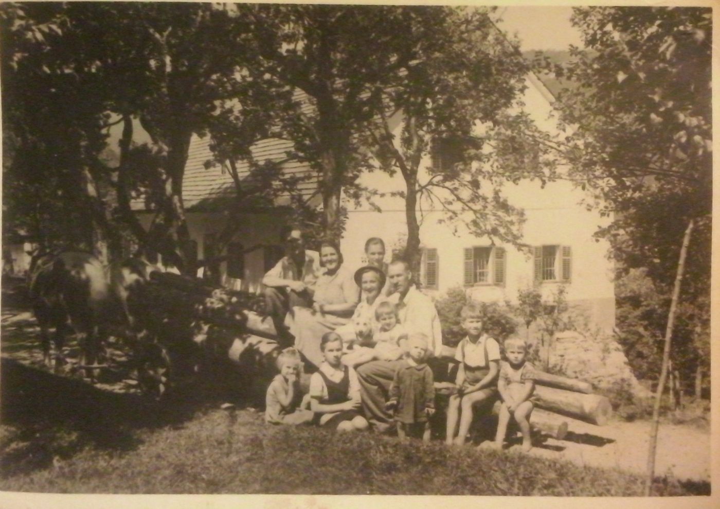 http://shramba.lovrenc.net/maxi/klepet/cam07817pri-markuzu-l--1.jpg
