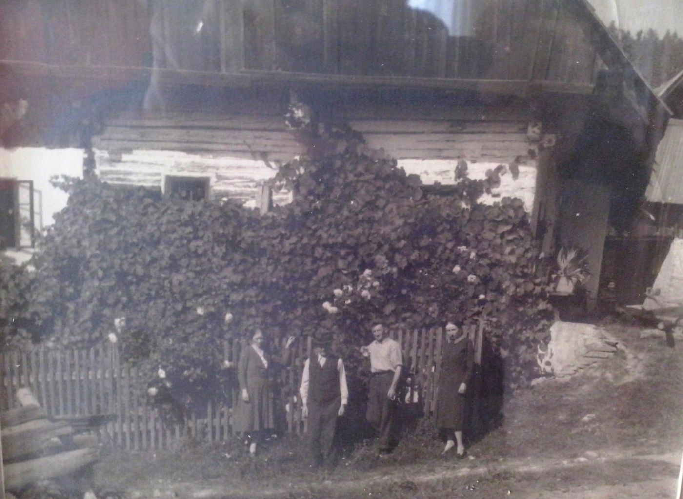 http://shramba.lovrenc.net/maxi/klepet/cam08431.jpg