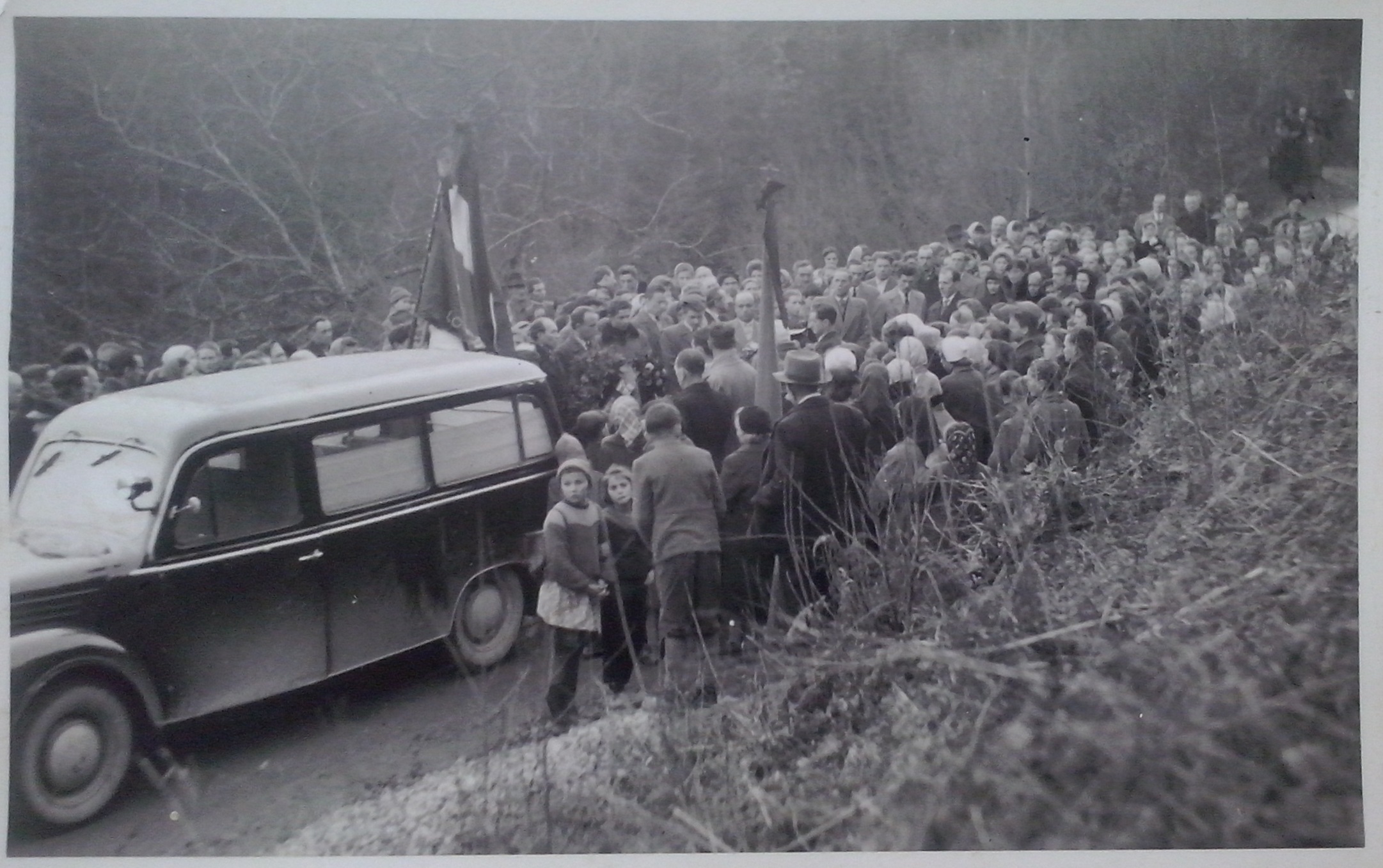 http://shramba.lovrenc.net/maxi/klepet/cam08972uc-nedic-avgust-.jpg