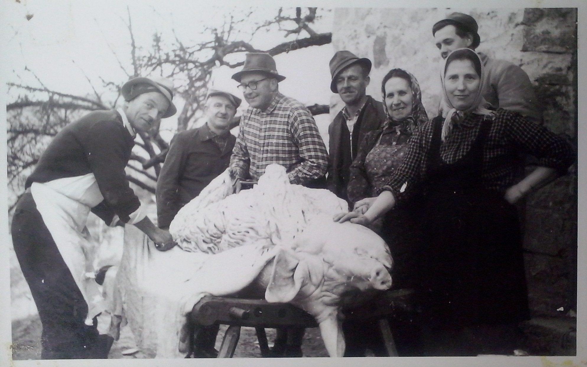 http://shramba.lovrenc.net/maxi/klepet/cam09512koline-v-zac-ses.jpg