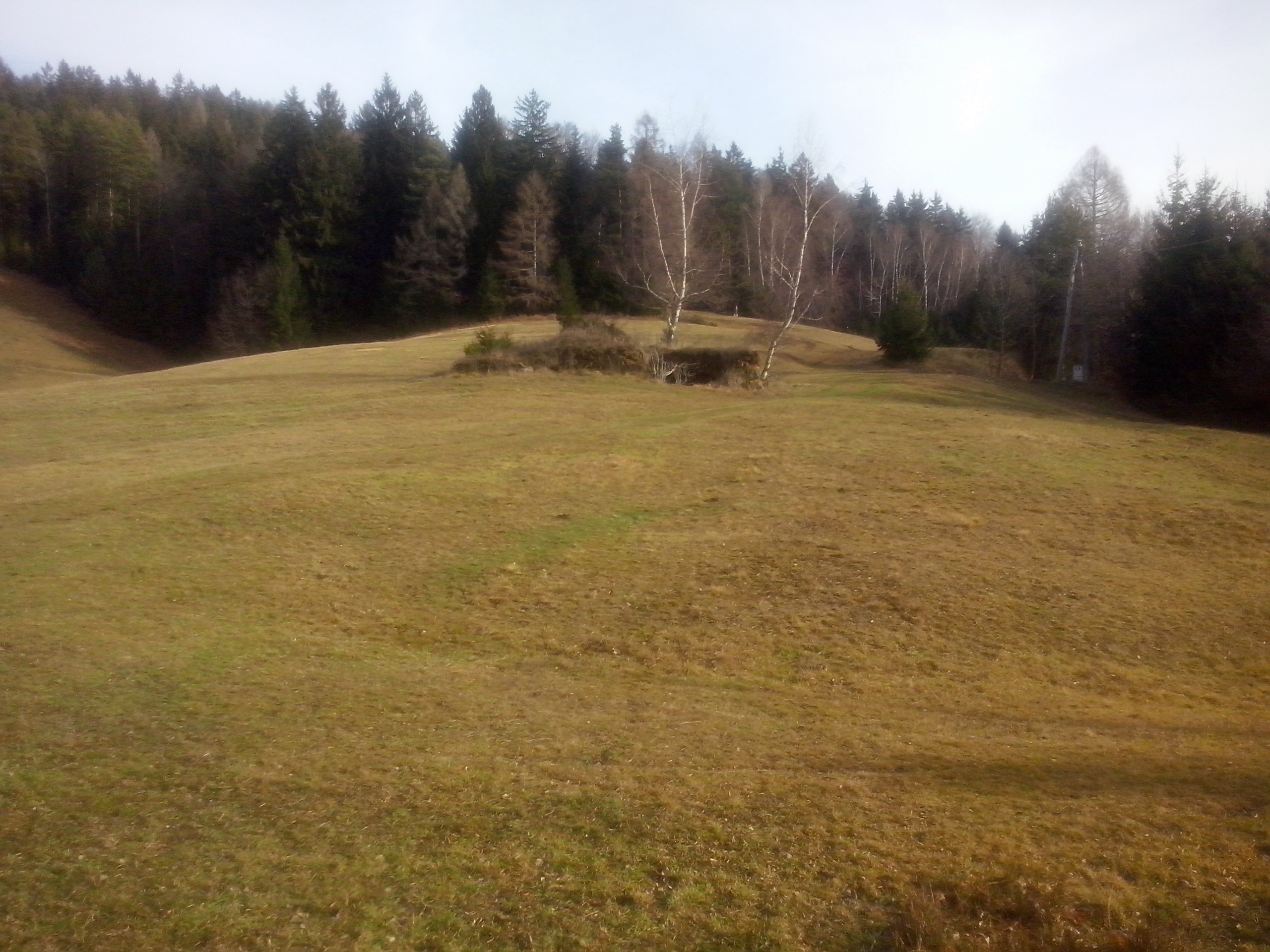 http://shramba.lovrenc.net/maxi/klepet/cam09515.jpg