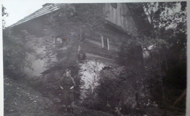 http://shramba.lovrenc.net/maxi/klepet/cam09523na-sliki-gos-fer.jpg