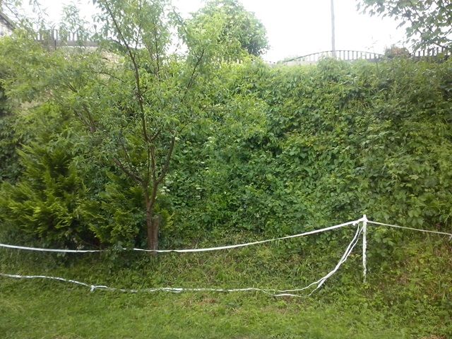 http://shramba.lovrenc.net/maxi/klepet/cam09571.jpg