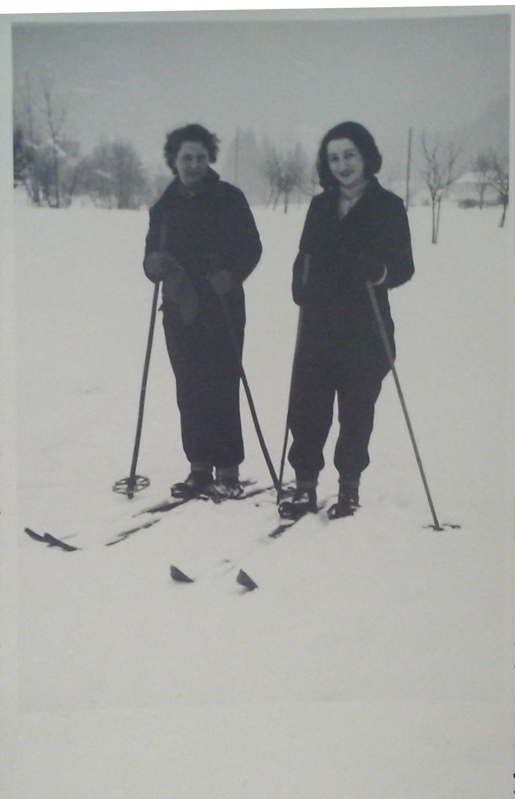 http://shramba.lovrenc.net/maxi/klepet/cam09683zadaj-tovarna-in.jpg
