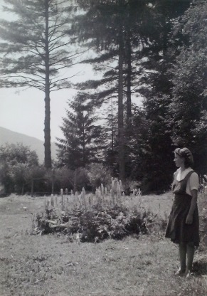 http://shramba.lovrenc.net/maxi/klepet/cam09692kiefferjev-park-.jpg