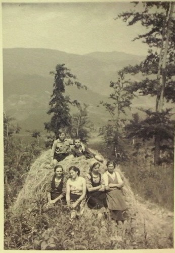 http://shramba.lovrenc.net/maxi/klepet/cam09750-na-rothobi.jpg