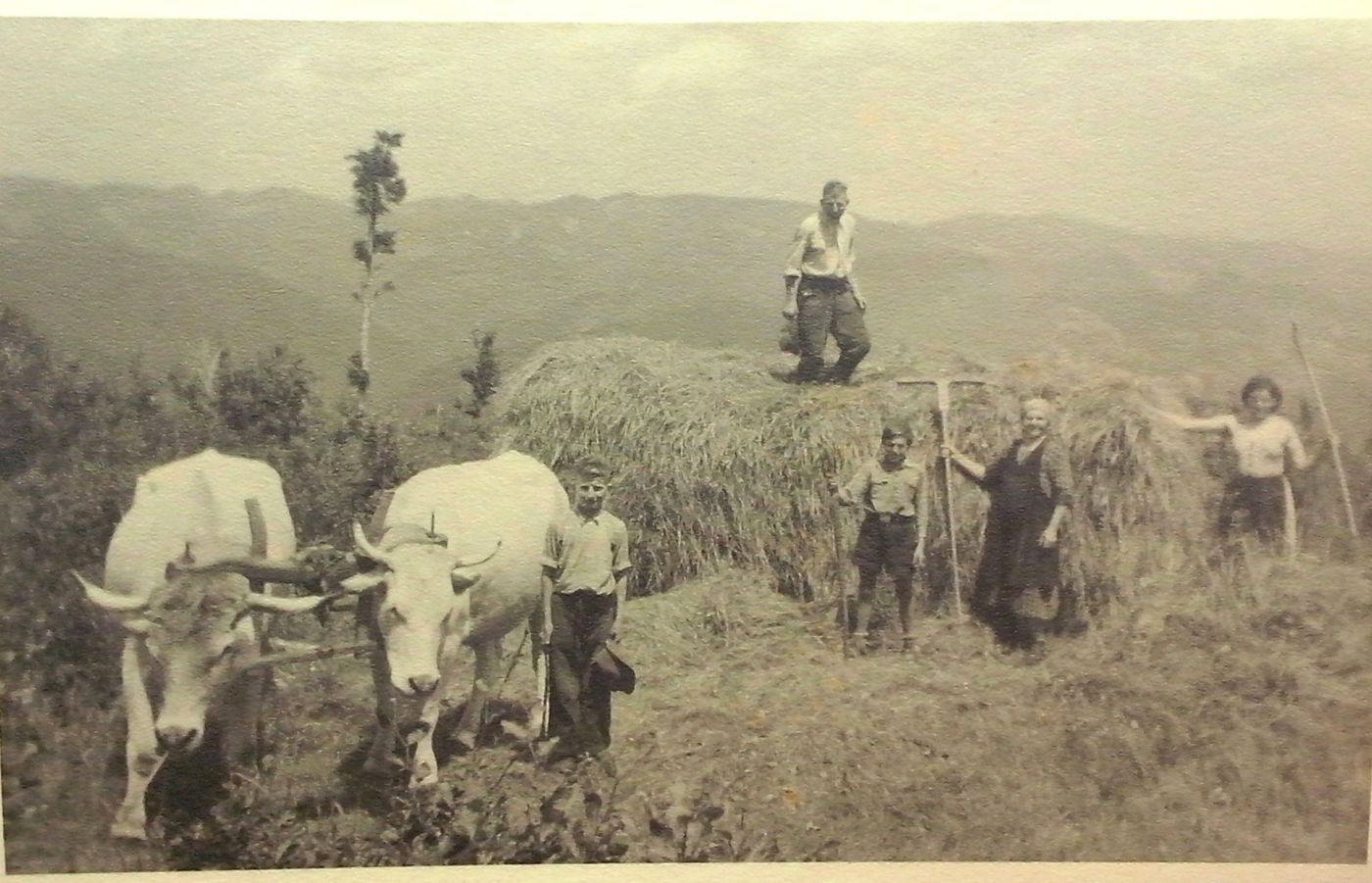 http://shramba.lovrenc.net/maxi/klepet/cam09755.jpg