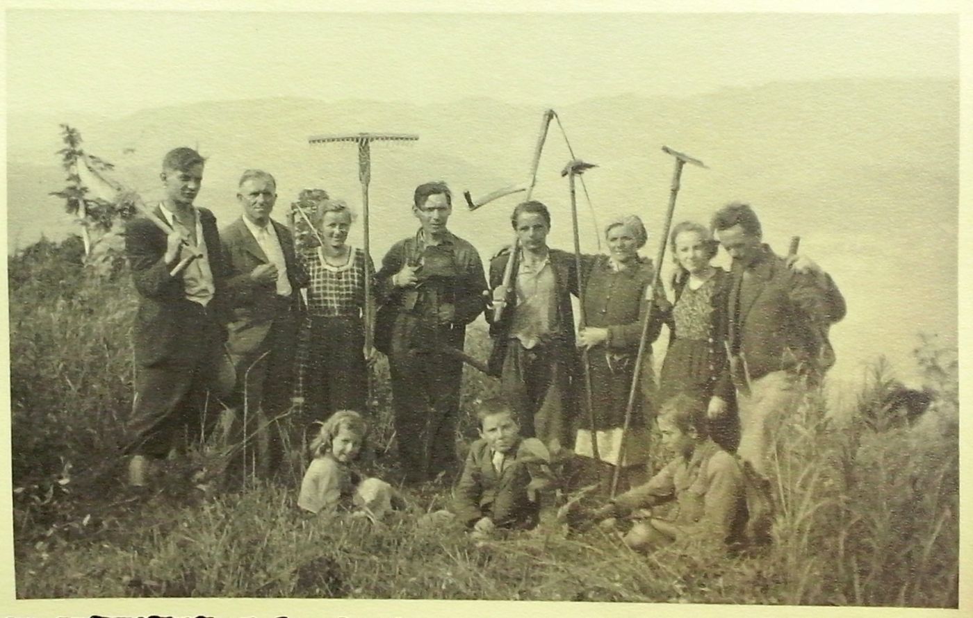 http://shramba.lovrenc.net/maxi/klepet/cam09772kosci-na-rothobi.jpg