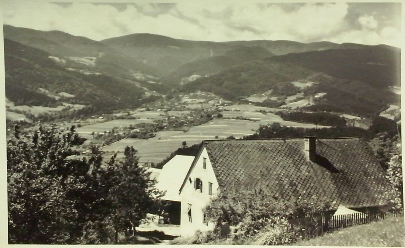 http://shramba.lovrenc.net/maxi/klepet/cam09775od-celebranta-l-.jpg