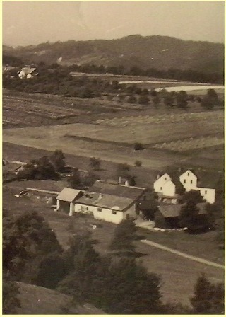 http://shramba.lovrenc.net/maxi/klepet/cam10132-gorna-fabrika-l.jpg