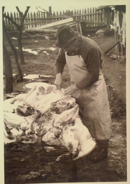 http://shramba.lovrenc.net/maxi/klepet/cam10151.jpg