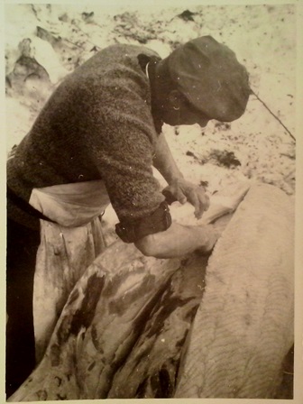 http://shramba.lovrenc.net/maxi/klepet/cam10153.jpg