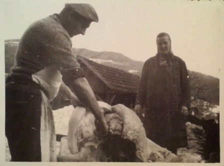 http://shramba.lovrenc.net/maxi/klepet/cam10155.jpg