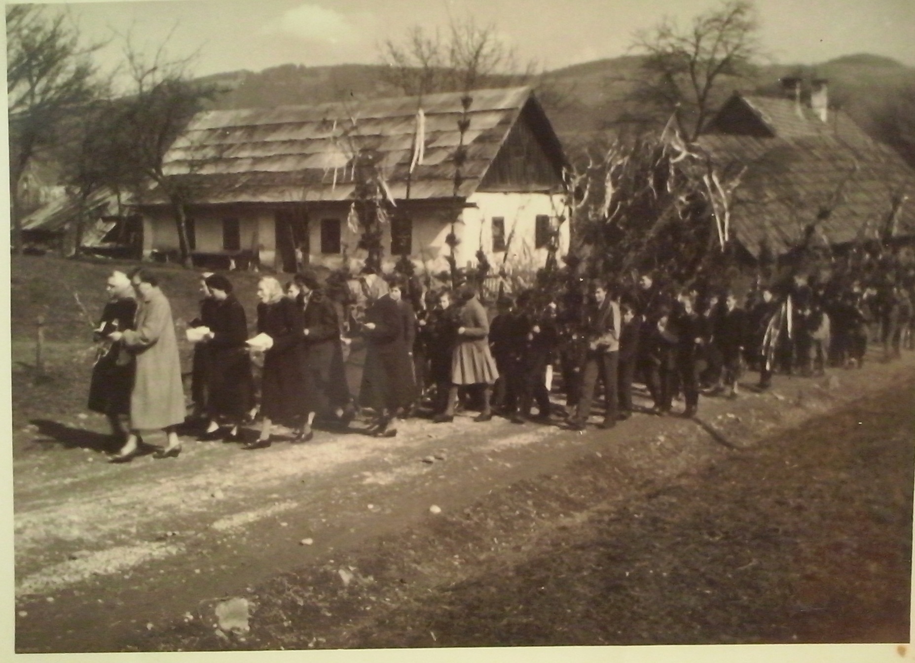 http://shramba.lovrenc.net/maxi/klepet/cam10156cvetna-nedelja.jpg