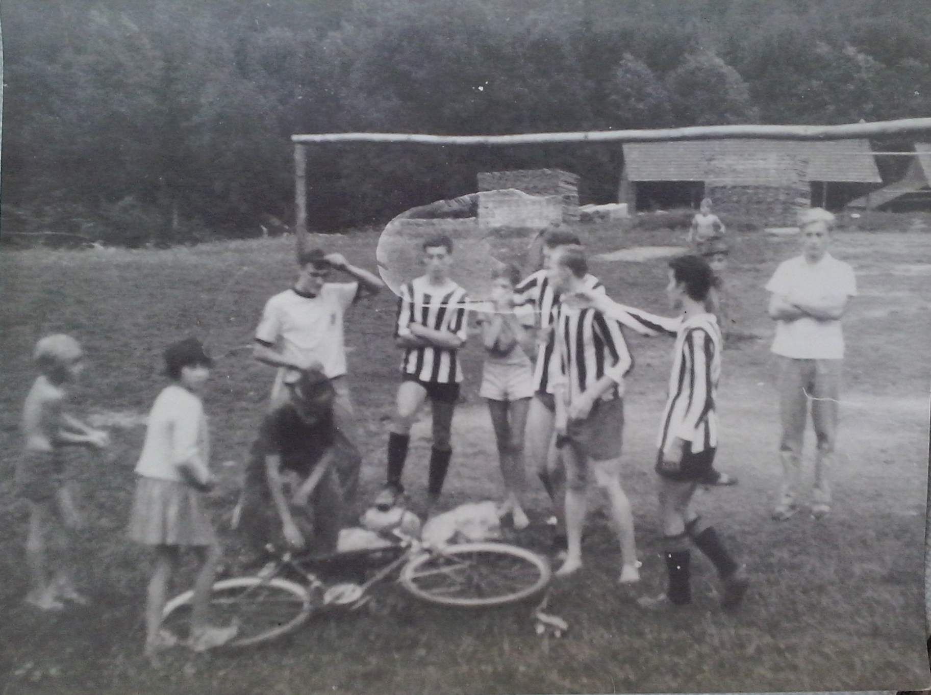 http://shramba.lovrenc.net/maxi/klepet/cam12220.jpg