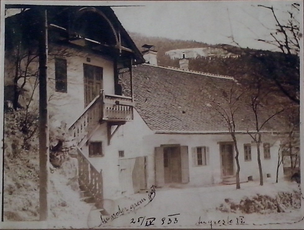 http://shramba.lovrenc.net/maxi/klepet/cam12233-robnikovo.jpg
