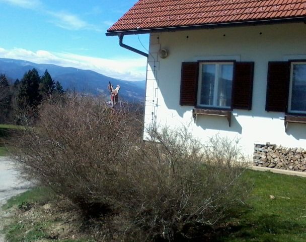 http://shramba.lovrenc.net/maxi/klepet/fotografija0004pri-matec.jpg