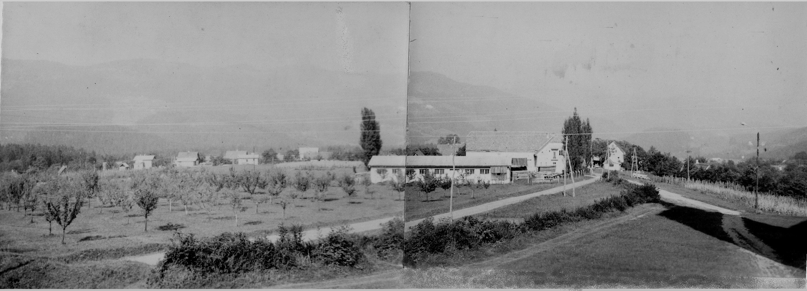 http://shramba.lovrenc.net/maxi/klepet/img187.jpg