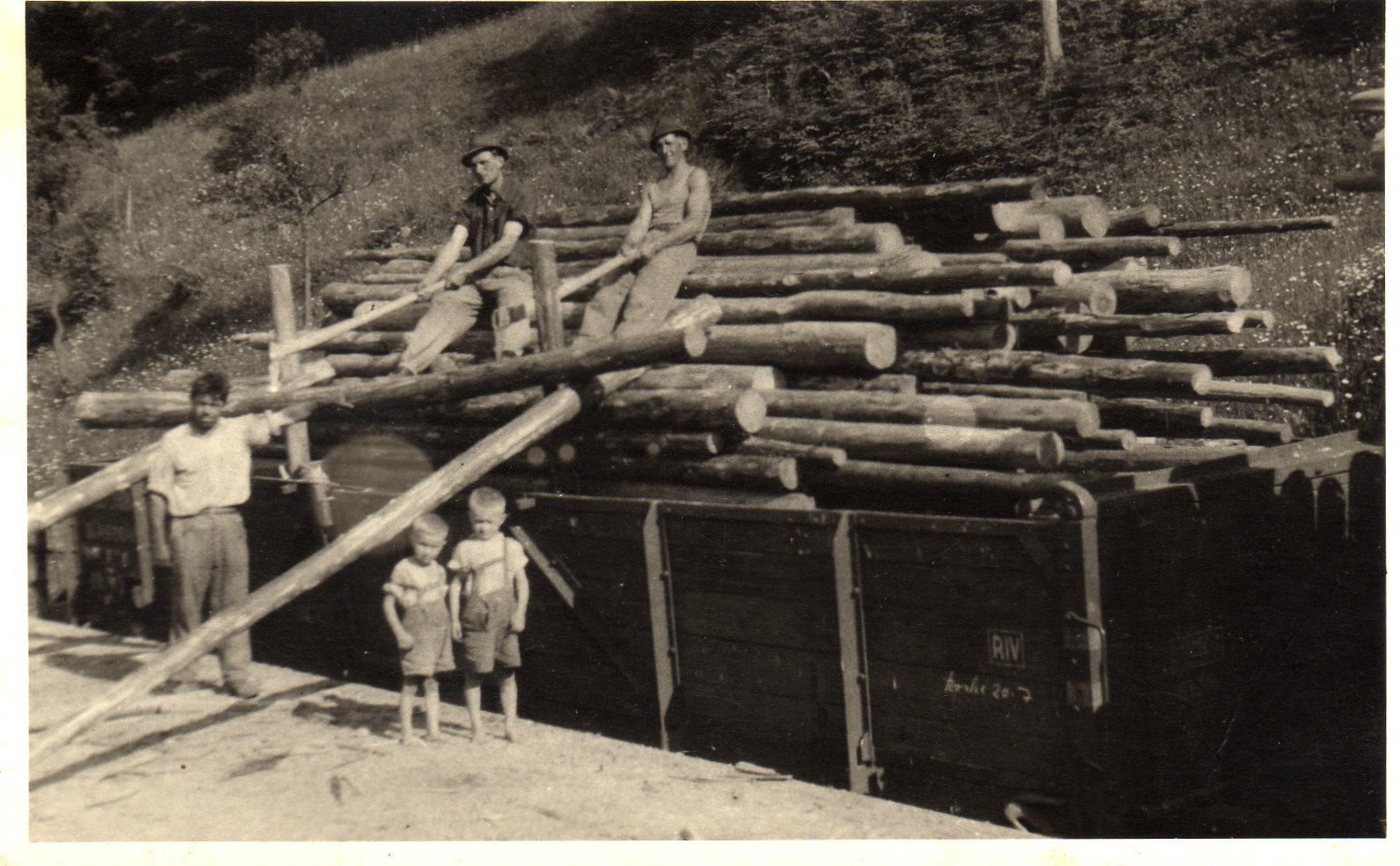 http://shramba.lovrenc.net/maxi/klepet/img200brez-lauzjenkov-ni.jpg