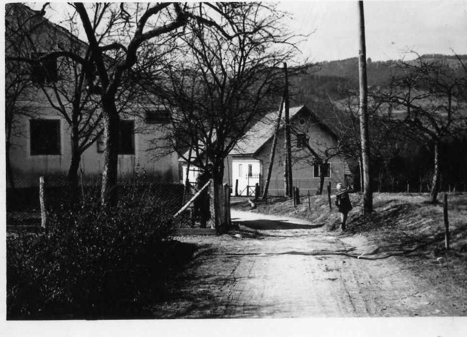 http://shramba.lovrenc.net/maxi/klepet/img256-.jpg