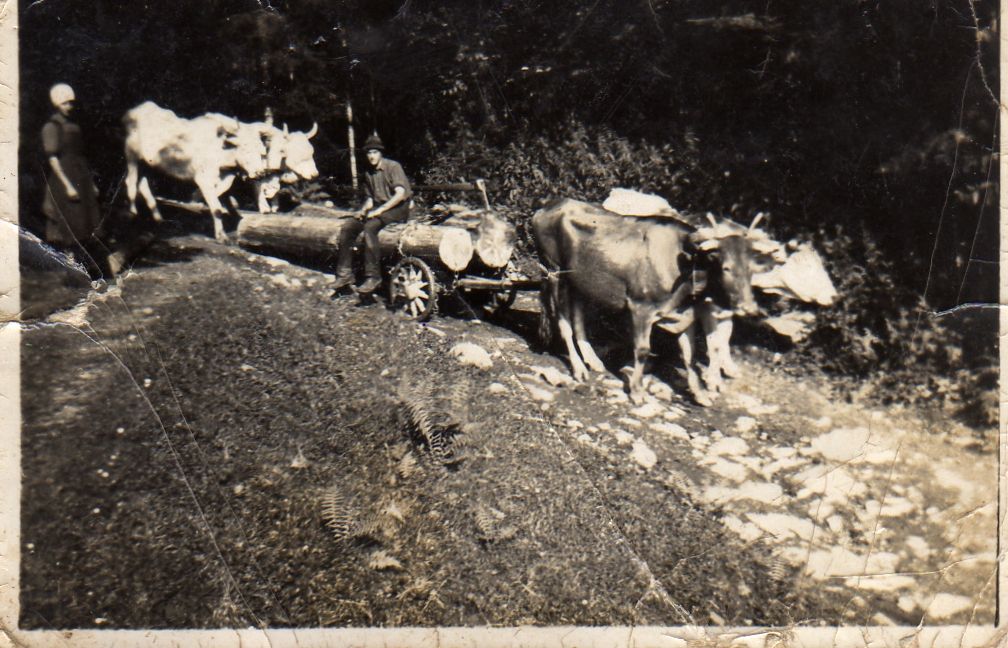 http://shramba.lovrenc.net/maxi/klepet/img325.jpg