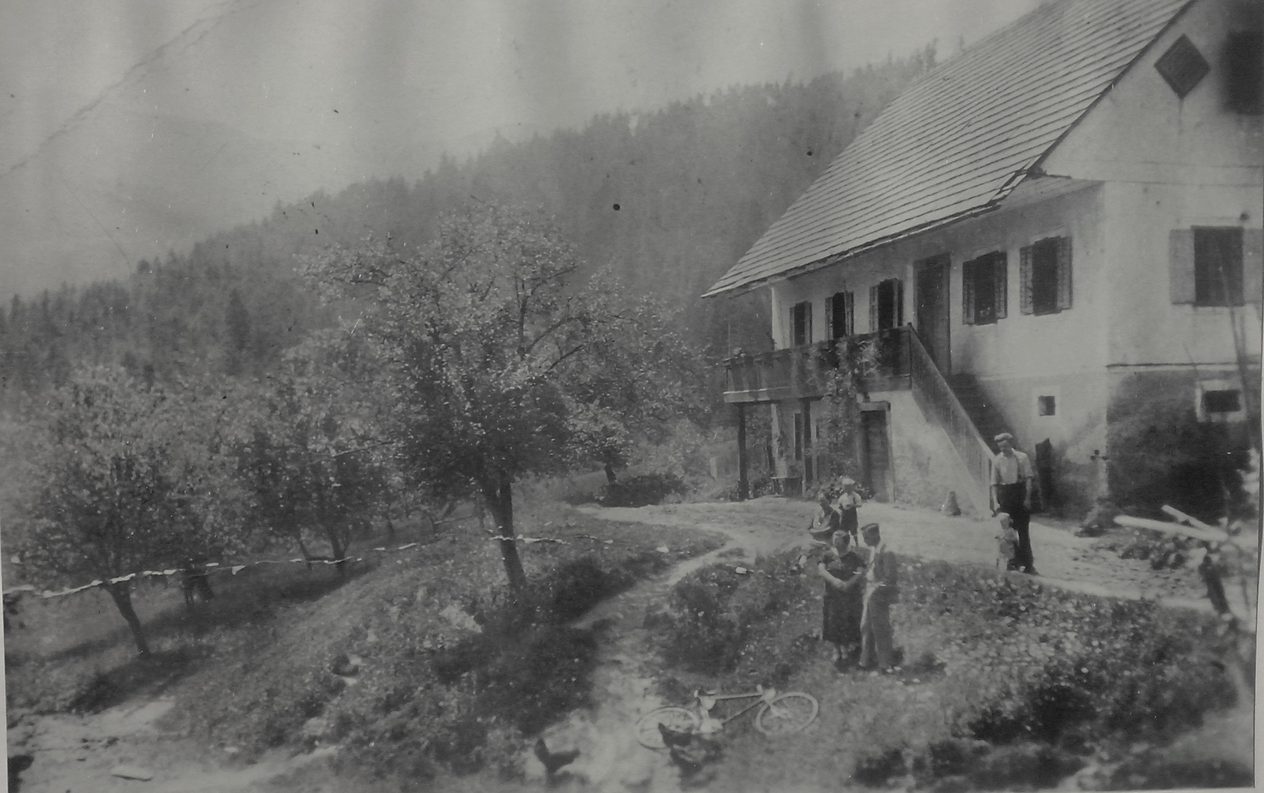 http://shramba.lovrenc.net/maxi/klepet/kacajnerjevo-l1938.jpg