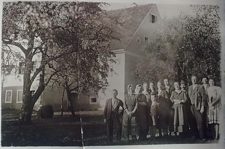 http://shramba.lovrenc.net/maxi/klepet/m8hojnikovo.jpg