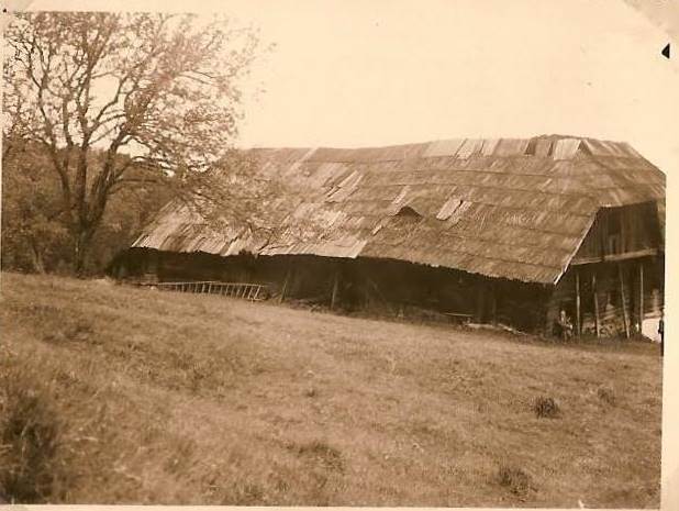 http://shramba.lovrenc.net/maxi/klepet/maroltovo.jpg