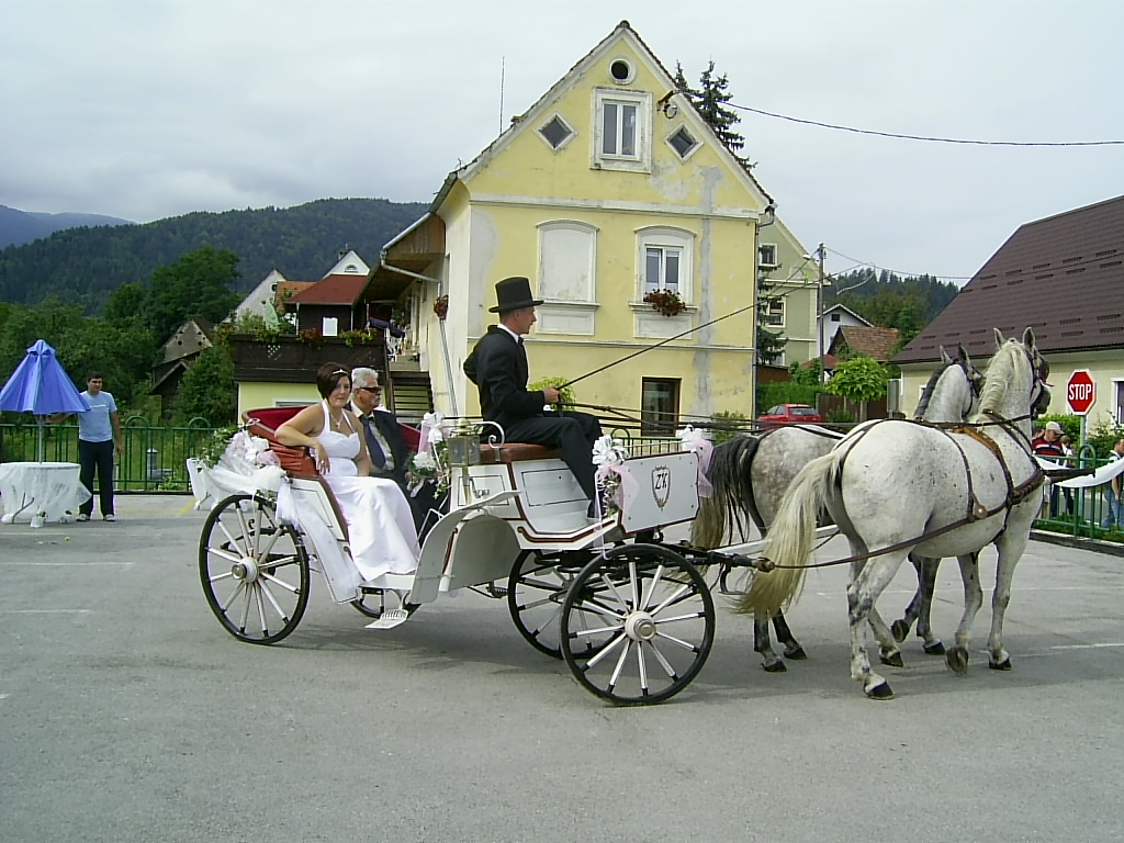 http://shramba.lovrenc.net/maxi/klepet/pic3219.jpg