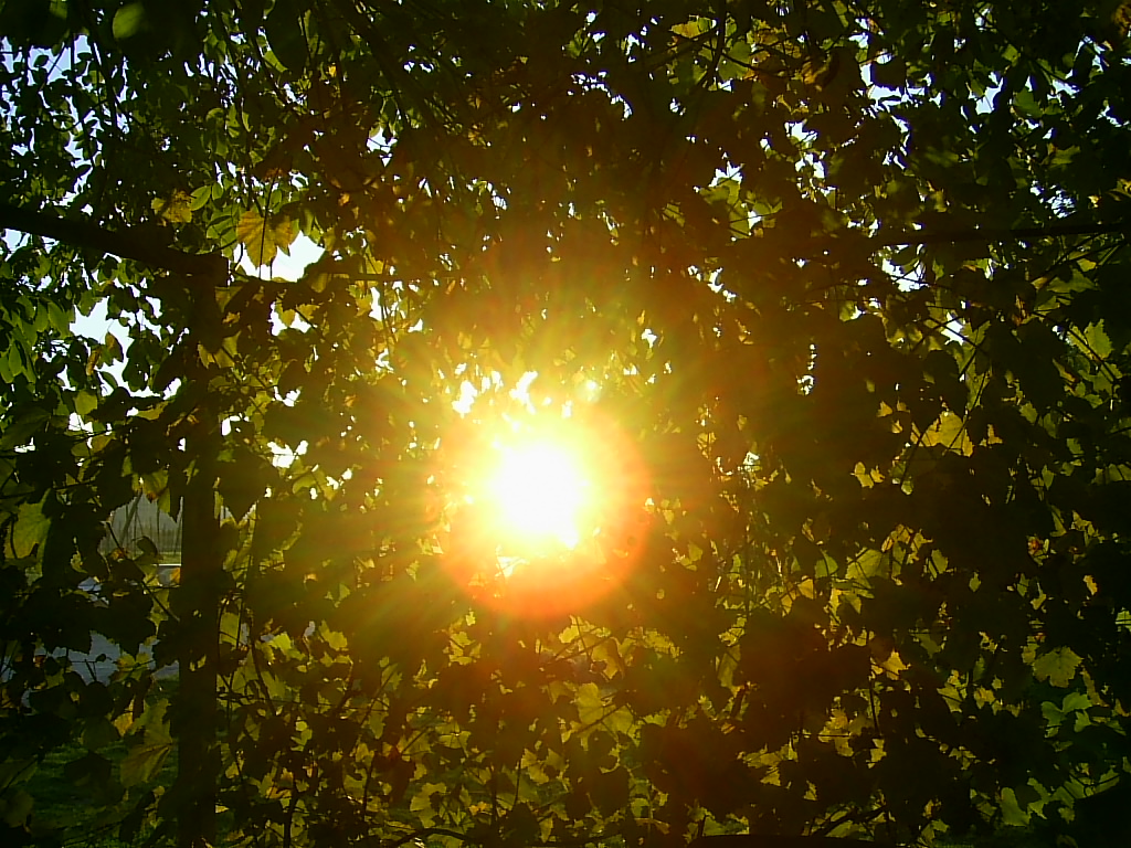 http://shramba.lovrenc.net/maxi/klepet/pic3617.jpg