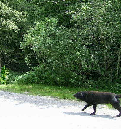 http://shramba.lovrenc.net/maxi/klepet/pic9140.jpg