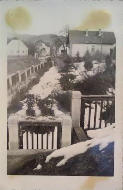 http://shramba.lovrenc.net/maxi/klepet/proti-lesniku.jpg