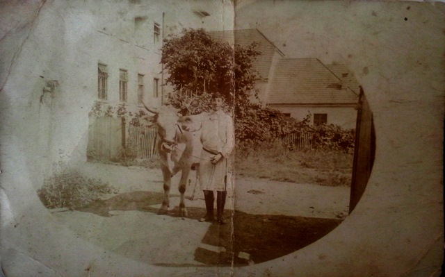 http://shramba.lovrenc.net/maxi/klepet/u13.jpg