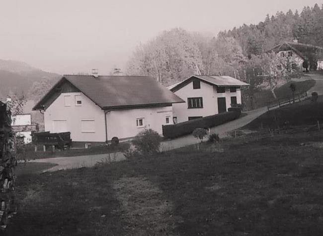 http://shramba.lovrenc.net/maxi/klepet/z13.jpg