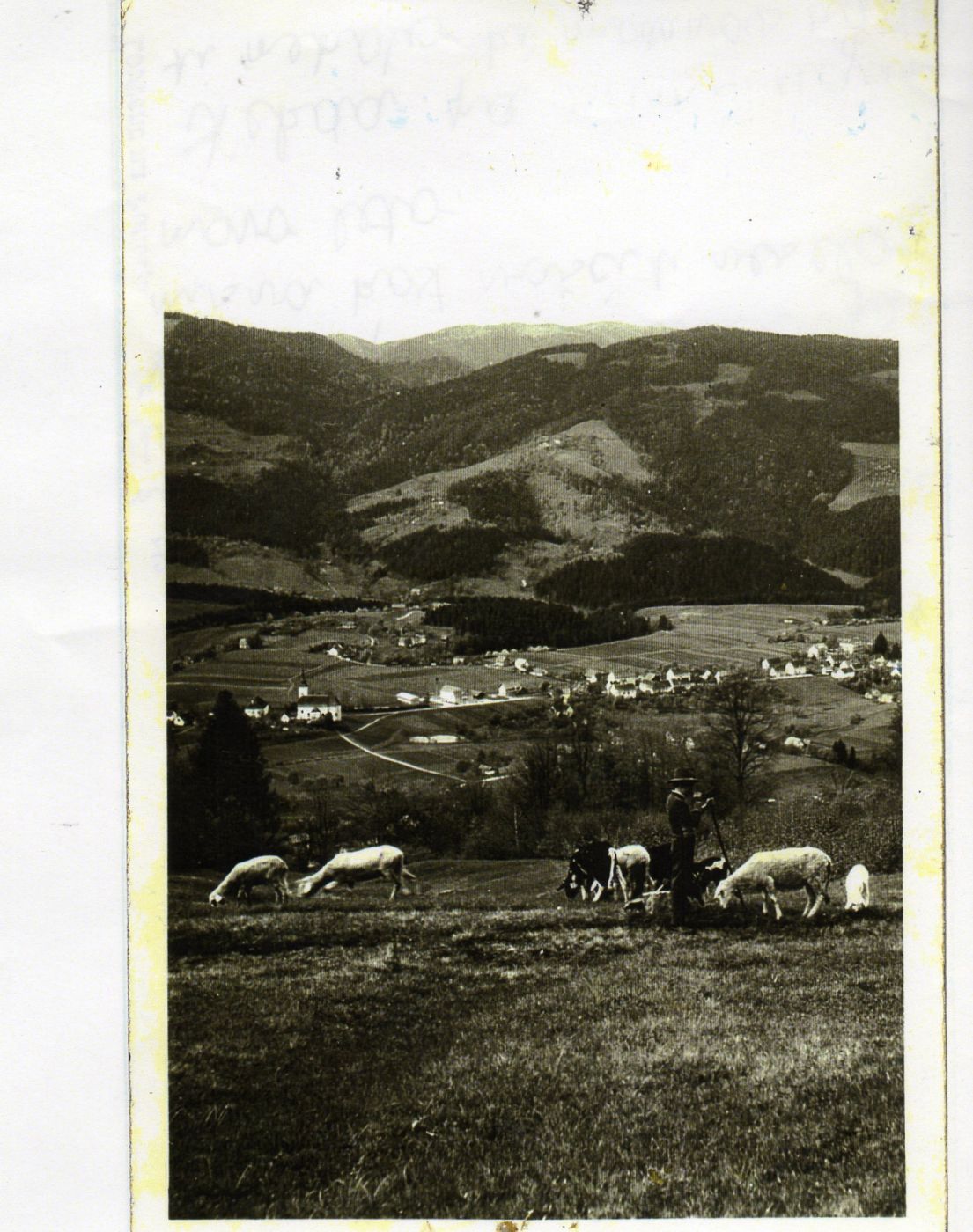 http://shramba.lovrenc.net/maxi/klepet/z82.jpg